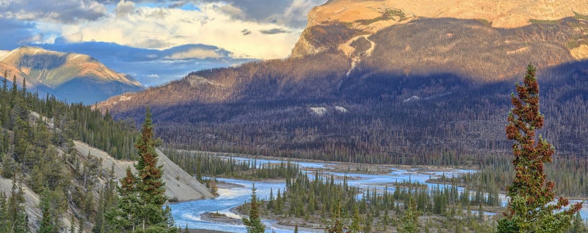 How To Find a Therapist or Psychologist in Alberta