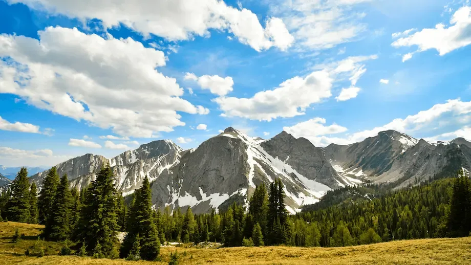 A scenic view of a mountain range with several peaks, some still capped with snow, under a bright blue sky with scattered clouds. A lush green meadow in the foreground is dotted with pine trees, emphasizing the natural beauty and grandeur of the landscape